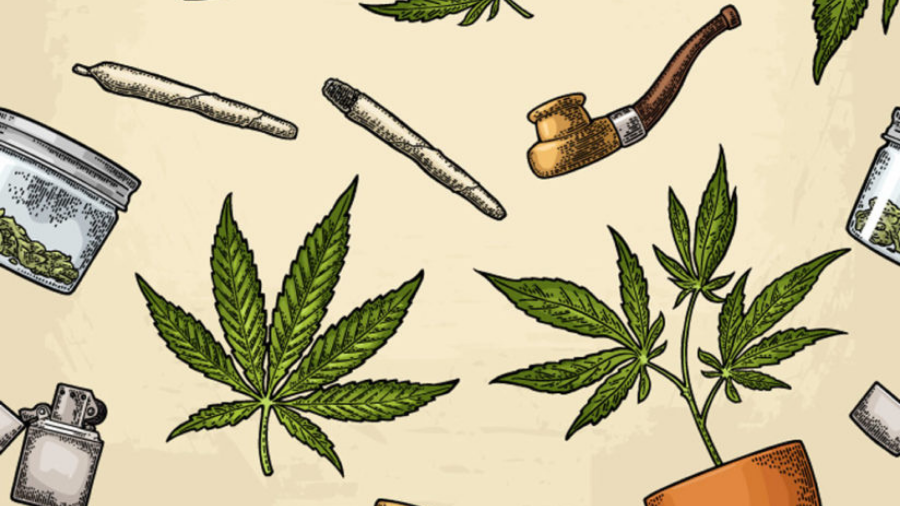 Cannabis e redução de danos