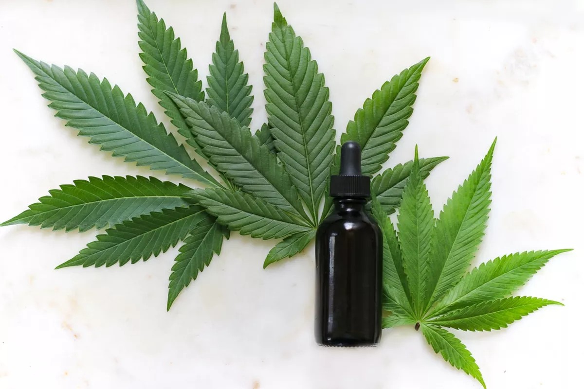 Ilustração de um óleo feito com a planta Cannabis